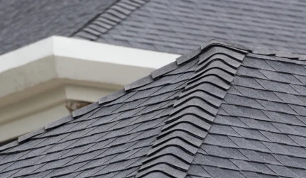 Shingle Roof
